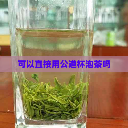 可以直接用公道杯泡茶吗