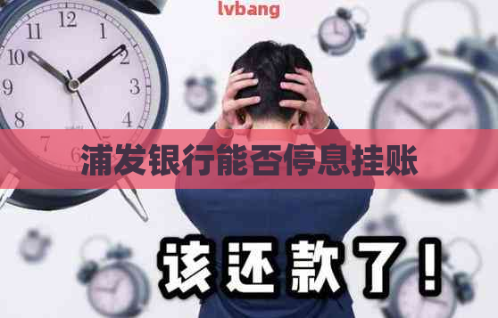 浦发银行能否停息挂账