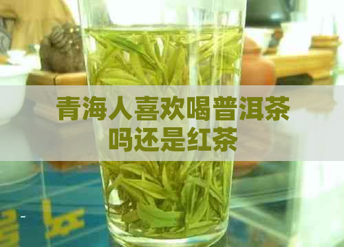 青海人喜欢喝普洱茶吗还是红茶