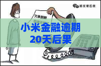 小米金融逾期20天后果