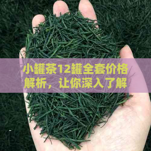 小罐茶12罐全套价格解析，让你深入了解这款中国特色茶饮