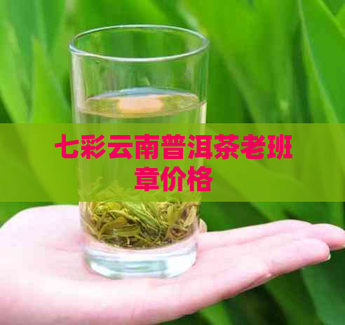 七彩云南普洱茶老班章价格