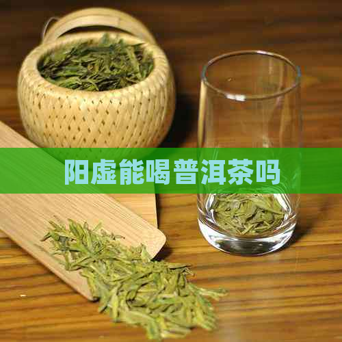 阳虚能喝普洱茶吗