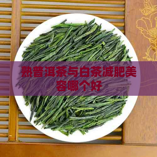 熟普洱茶与白茶减肥美容哪个好