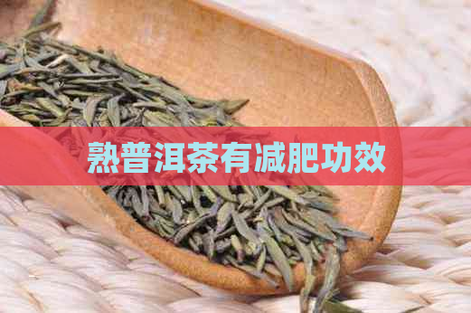 熟普洱茶有减肥功效