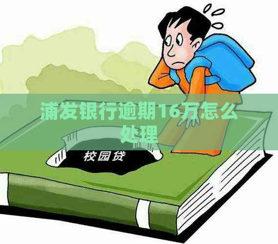 浦发银行逾期16万怎么处理