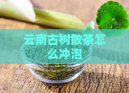 云南古树散茶怎么冲泡