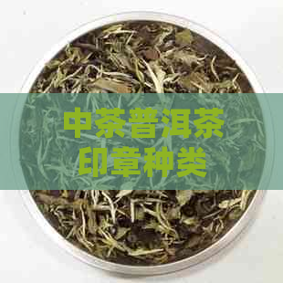 中茶普洱茶印章种类