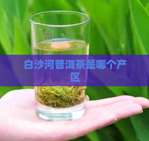 白沙河普洱茶是哪个产区