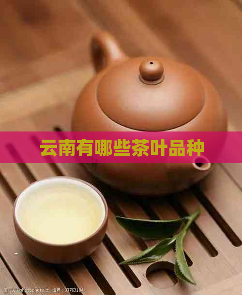 云南有哪些茶叶品种