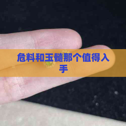 危料和玉髓那个值得入手