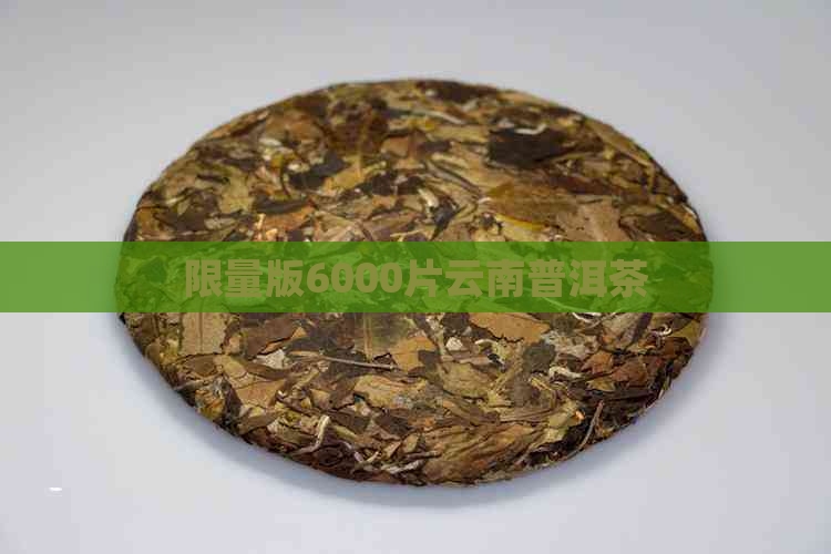 限量版6000片云南普洱茶