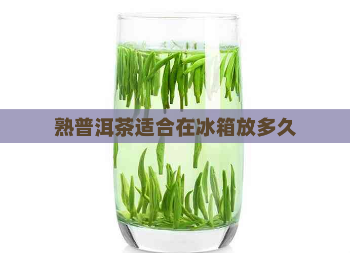 熟普洱茶适合在冰箱放多久