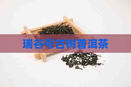 瑞谷号古树普洱茶