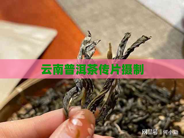 云南普洱茶传片摄制