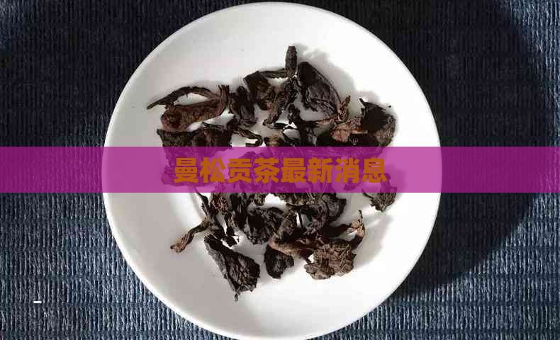 曼松贡茶最新消息