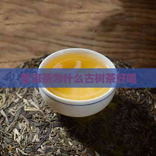 普洱茶为什么古树茶好喝