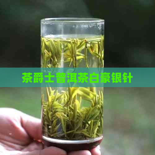 茶爵士普洱茶白豪银针