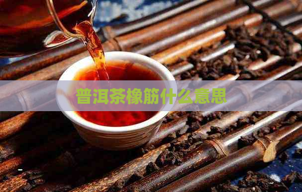 普洱茶橡筋什么意思