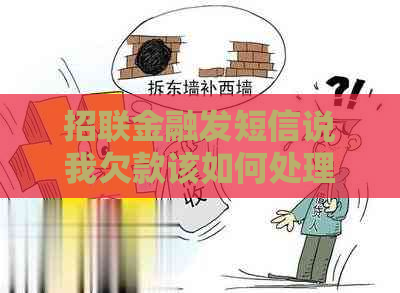 招联金融发短信说我欠款该如何处理