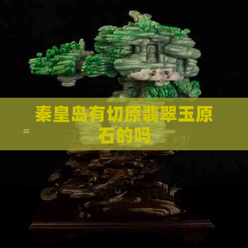 秦皇岛有切原翡翠玉原石的吗