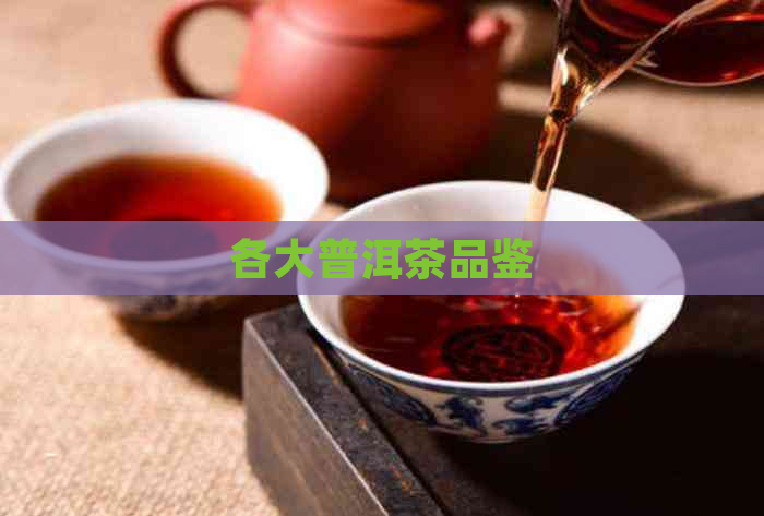 各大普洱茶品鉴