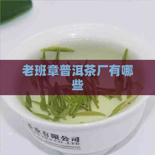 老班章普洱茶厂有哪些