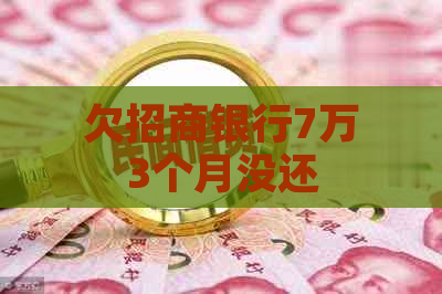 欠招商银行7万3个月没还