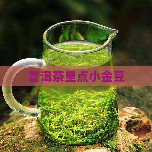 普洱茶里点小金豆