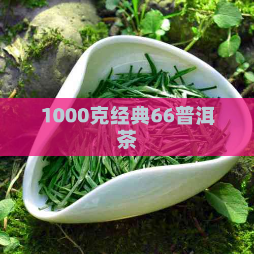 1000克经典66普洱茶