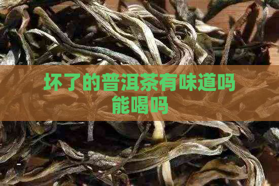 坏了的普洱茶有味道吗能喝吗