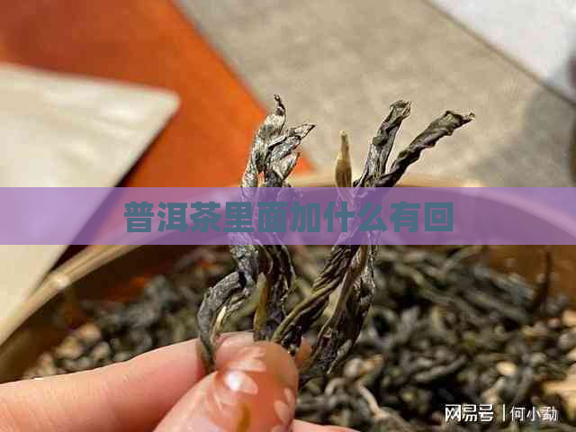 普洱茶里面加什么有回