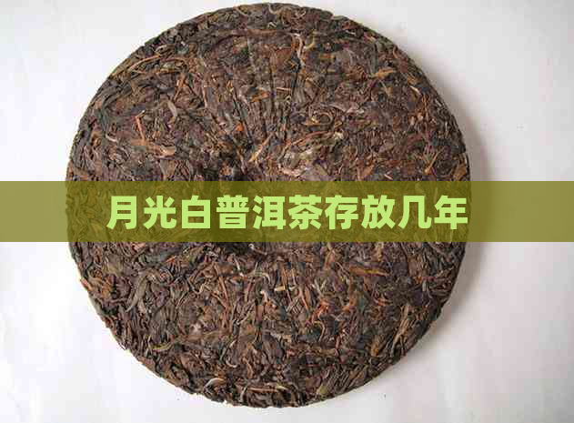 月光白普洱茶存放几年