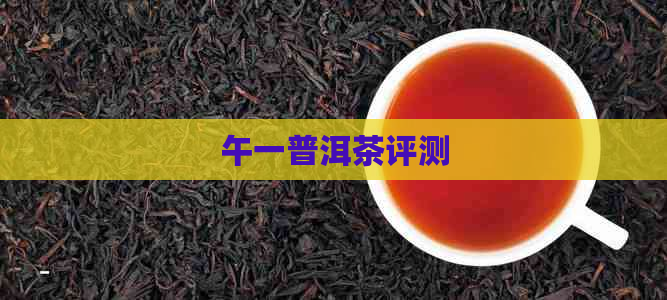 午一普洱茶评测