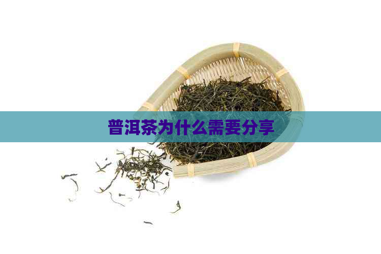 普洱茶为什么需要分享