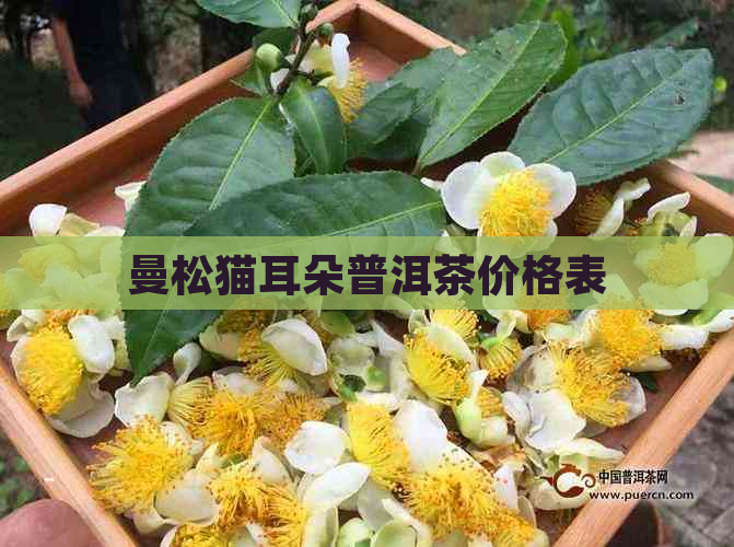 曼松猫耳朵普洱茶价格表