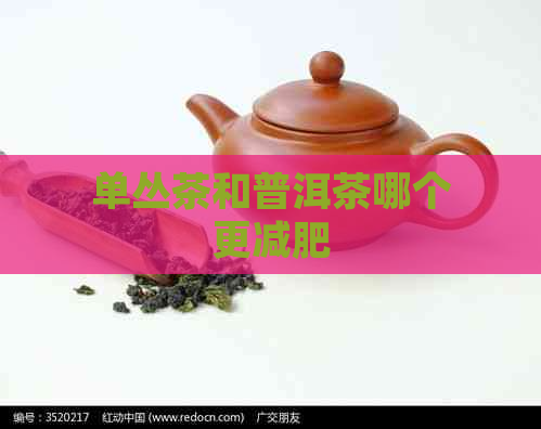 单丛茶和普洱茶哪个更减肥