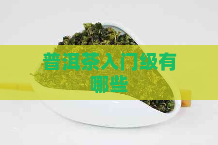 普洱茶入门级有哪些