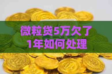 微粒贷5万欠了1年如何处理