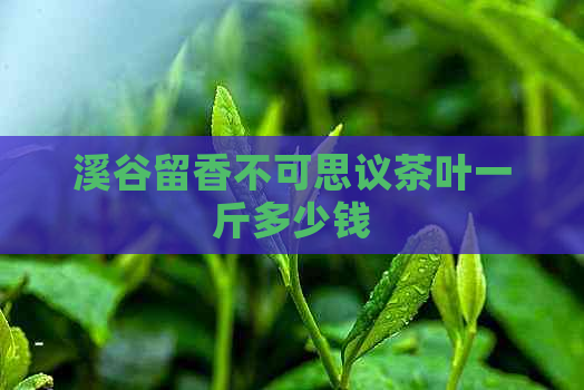 溪谷留香不可思议茶叶一斤多少钱