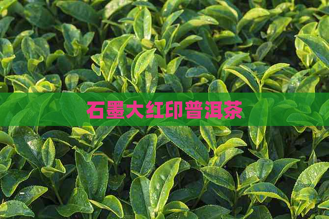 石墨大红印普洱茶