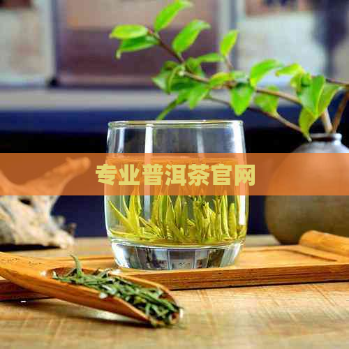 专业普洱茶官网