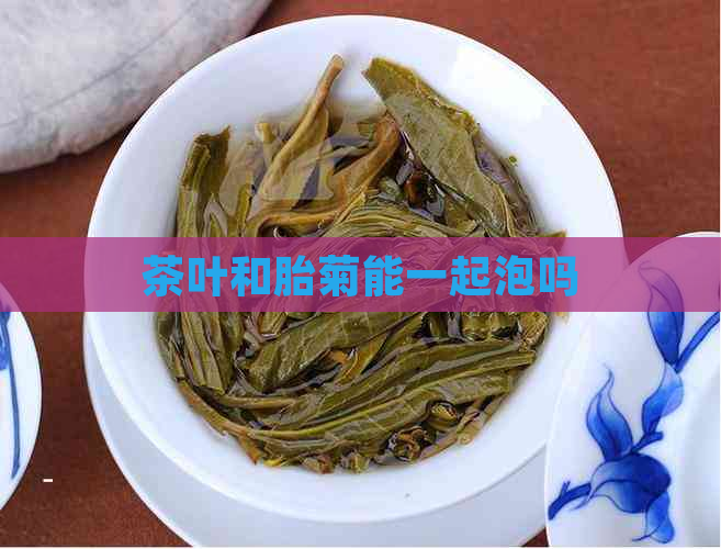 茶叶和胎菊能一起泡吗