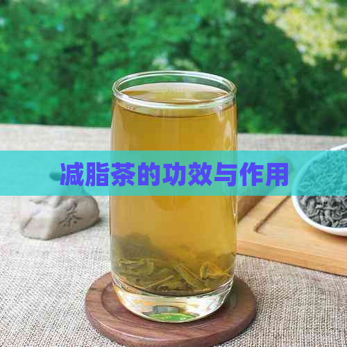 减脂茶的功效与作用