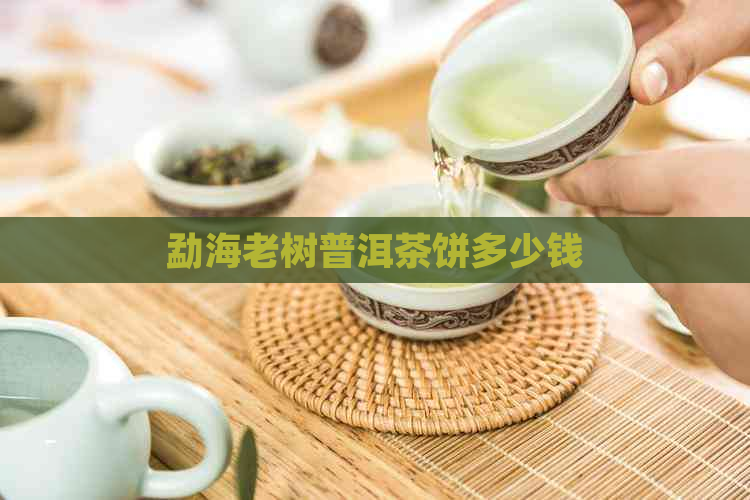 勐海老树普洱茶饼多少钱