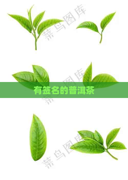 有签名的普洱茶