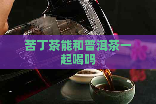 苦丁茶能和普洱茶一起喝吗