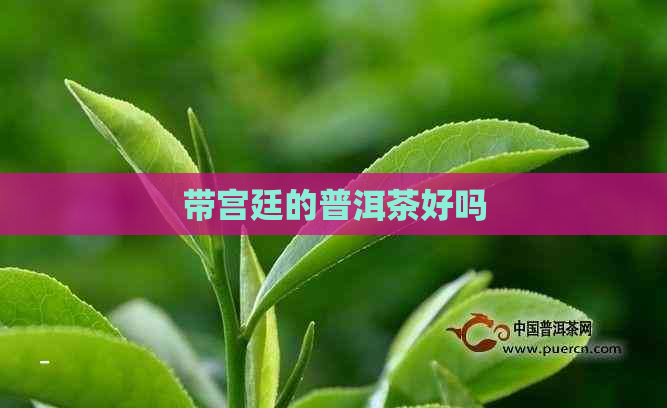 带宫廷的普洱茶好吗