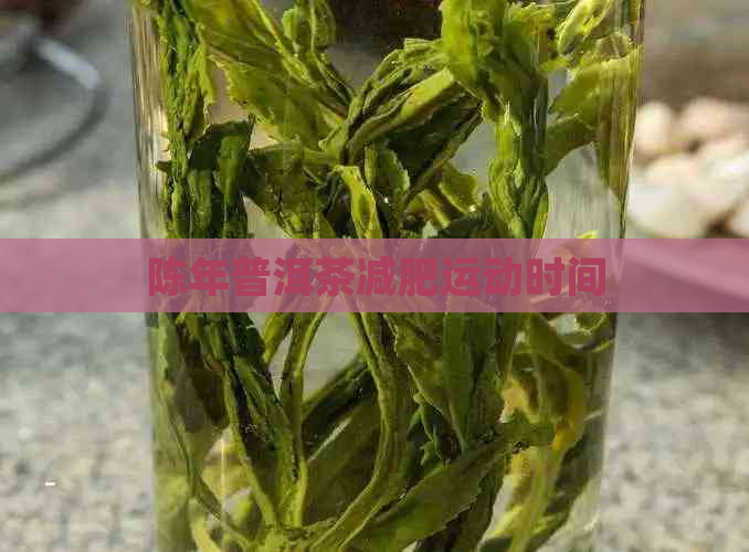 陈年普洱茶减肥运动时间