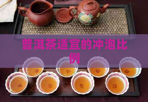 普洱茶适宜的冲泡比例